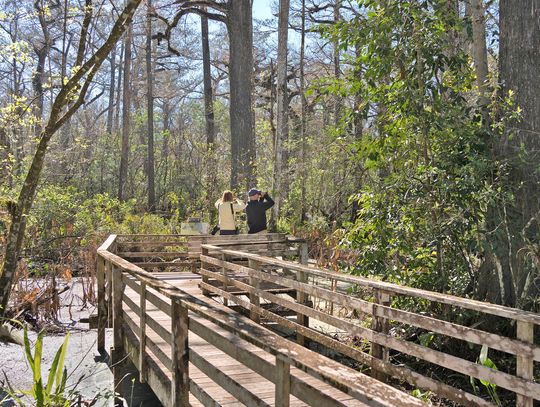 Hiking Trails Across Southwest Florida Offer Easy Escapes into Nature