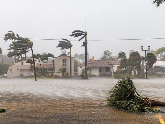 In Case of Emergency: Essential Checklists for Hurricane Season