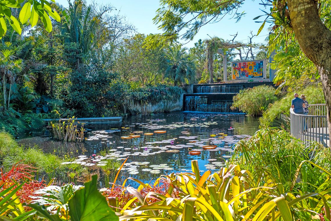 Focus On SWFL Focus On SWFL