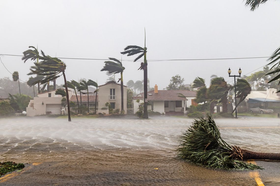 In Case of Emergency: Essential Checklists for Hurricane Season