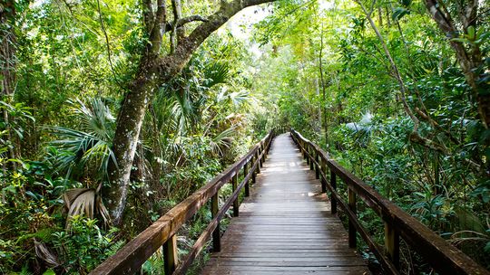 Conservancy of Southwest Florida