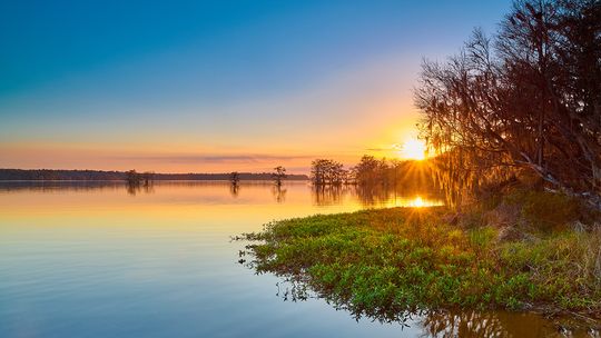 Ollie’s Pond Park