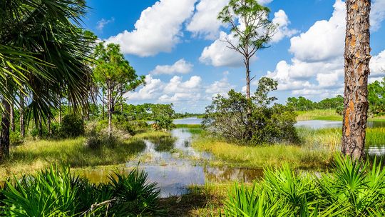 Punta Gorda Nature Park