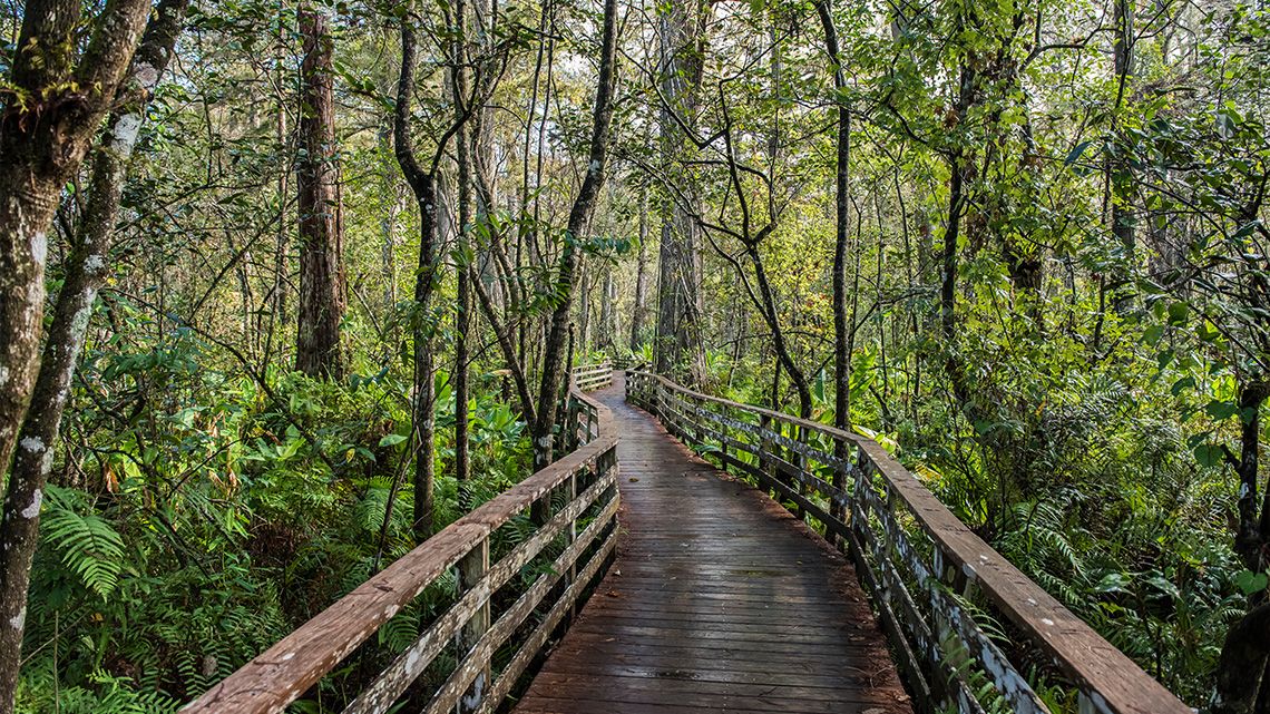 Audubon-Pennington Nature Park