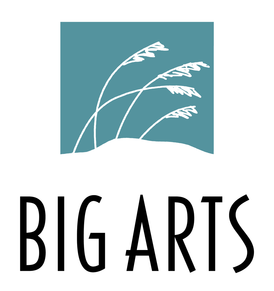 BIG ARTS