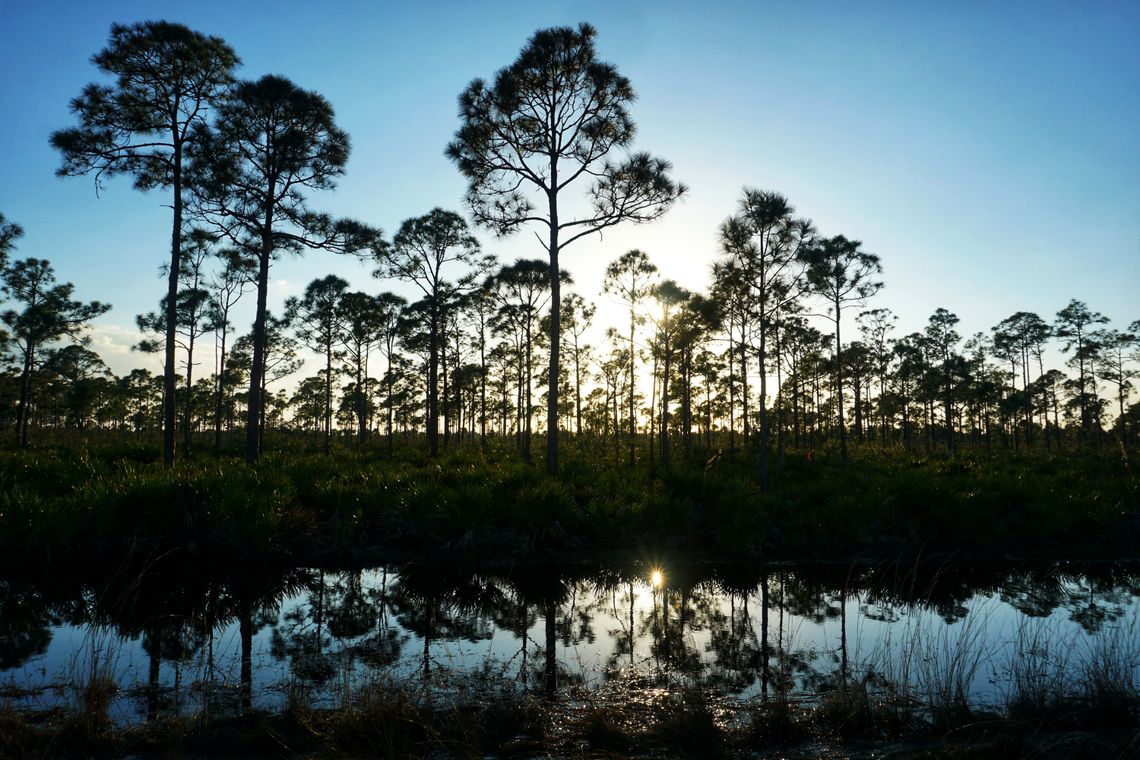 Estero Bay Preserve State Park