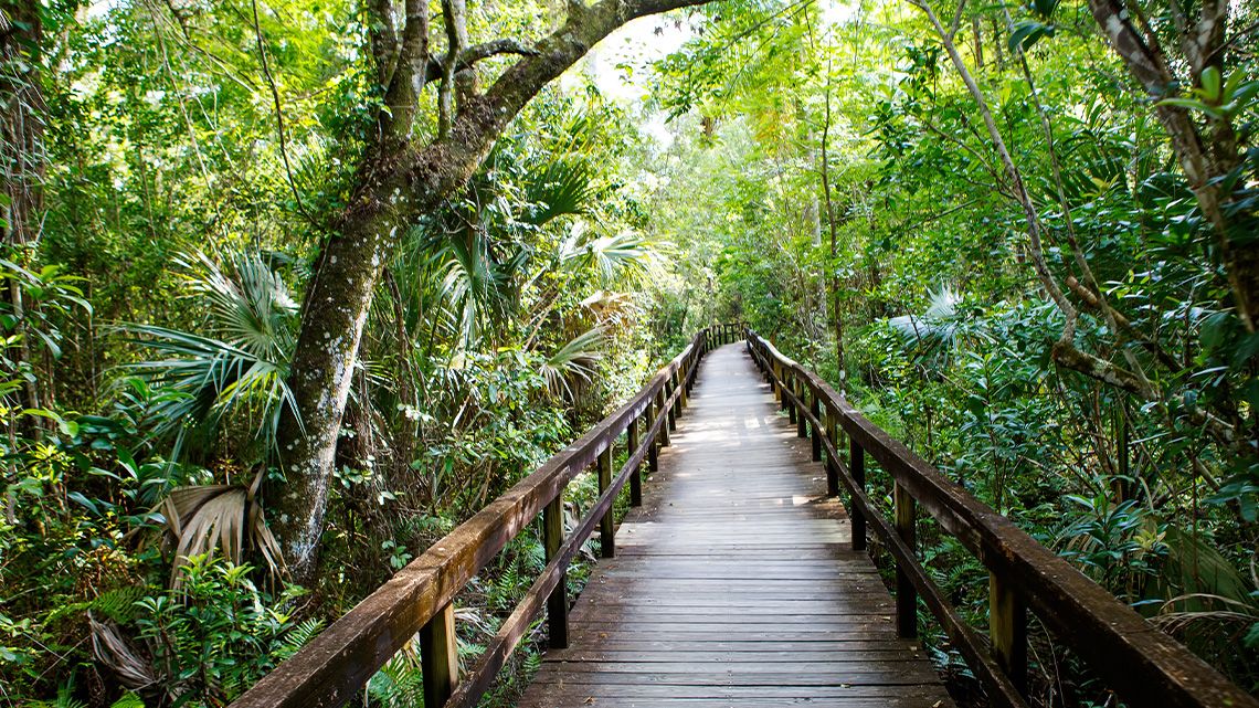 Nancy Payton Preserve