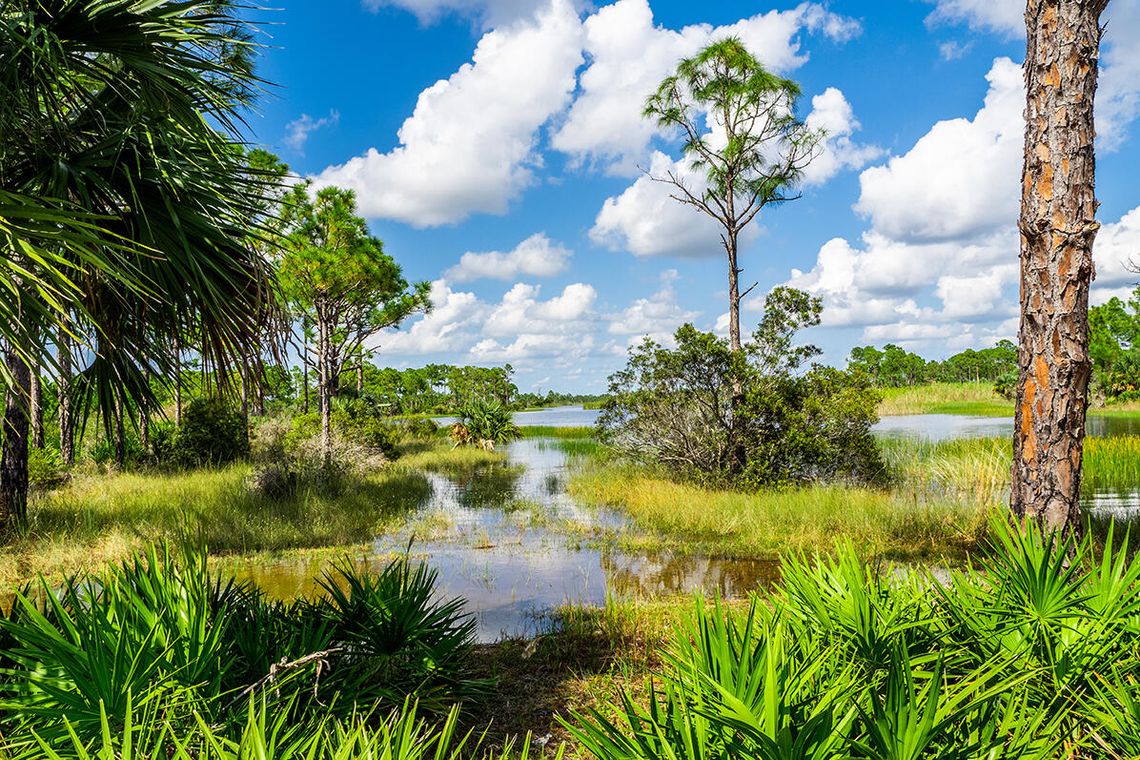 Punta Gorda Nature Park