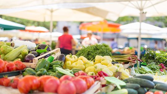 Southwest Florida Agriculture Expo