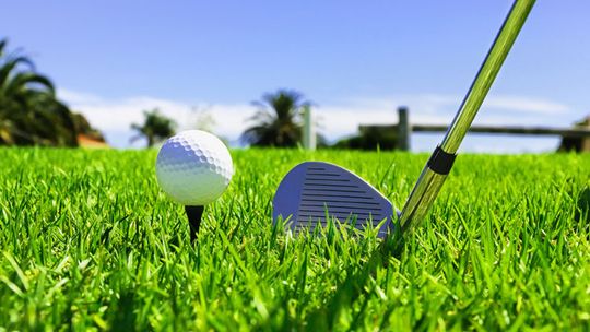 Terra Cotta Invitational