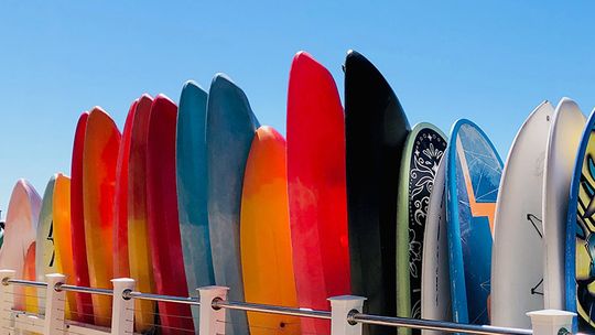 The Great Canoe Races of Naples