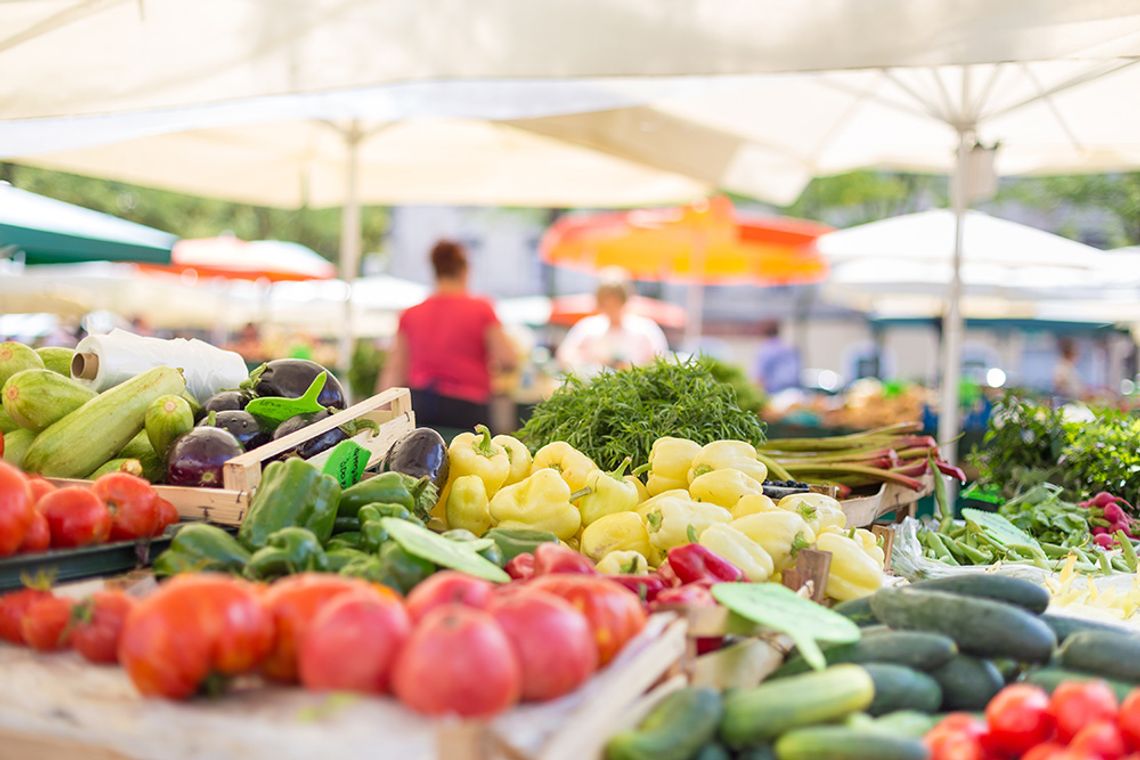 Southwest Florida Agriculture Expo