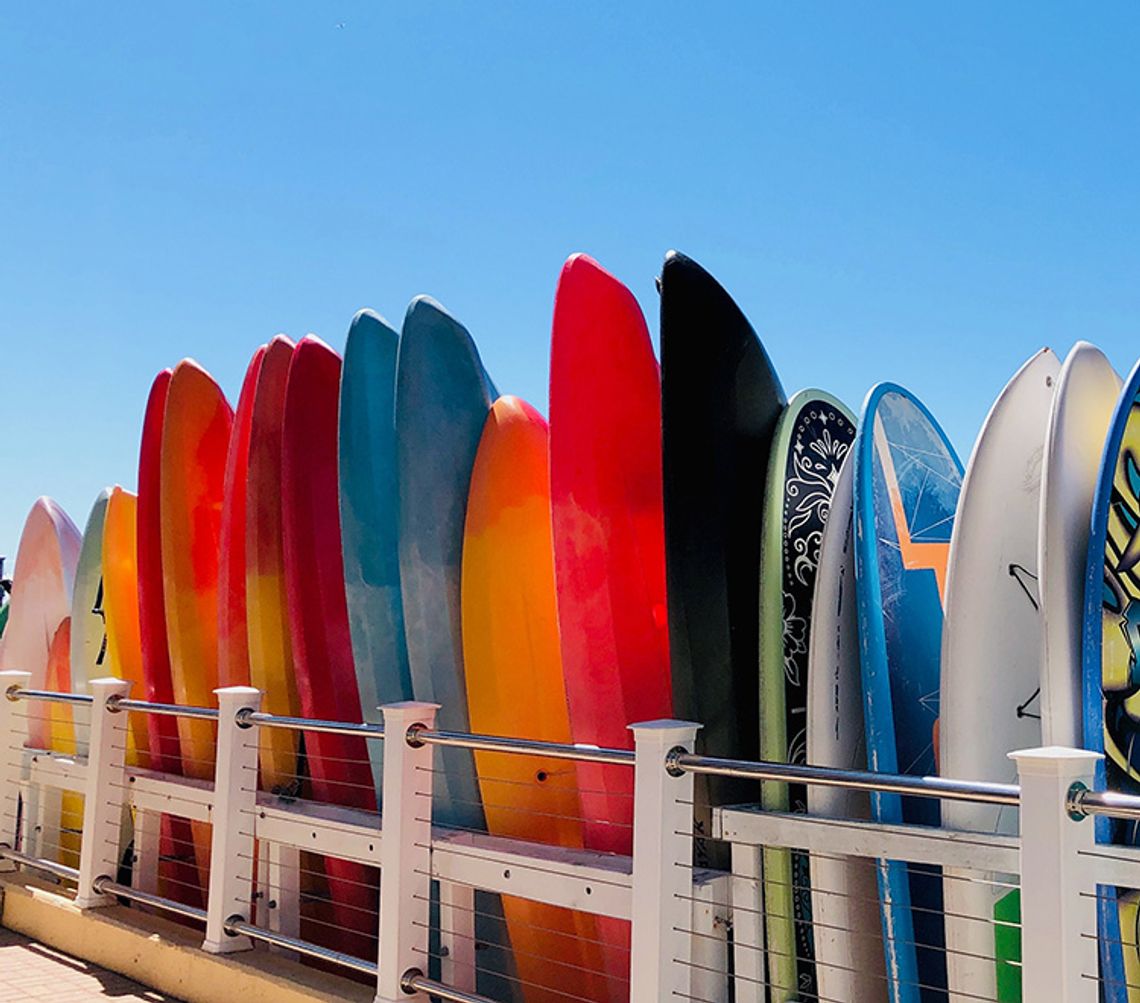 The Great Canoe Races of Naples