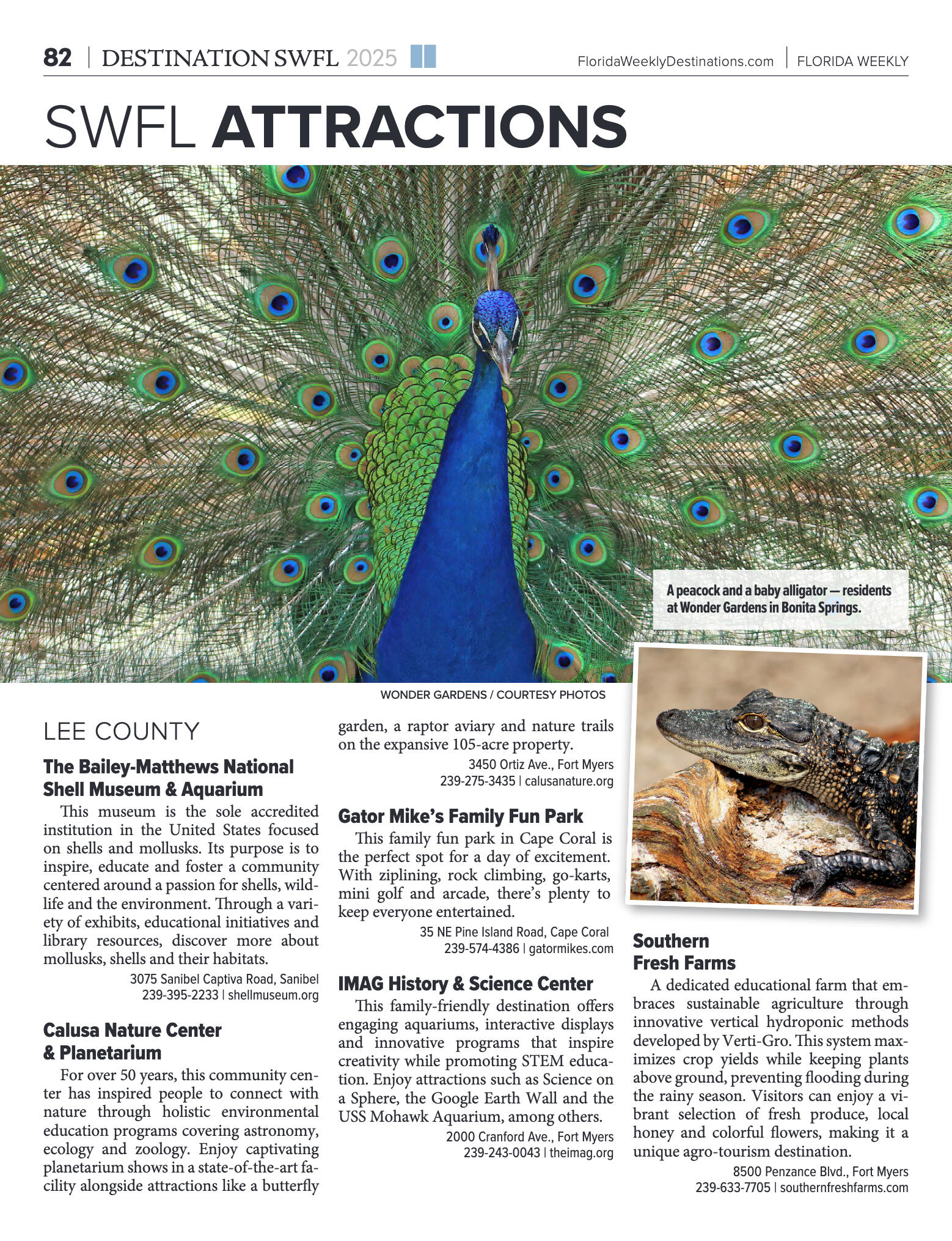 Destinations 2025 - page 82