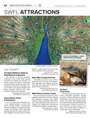 Destinations 2025 - page 82