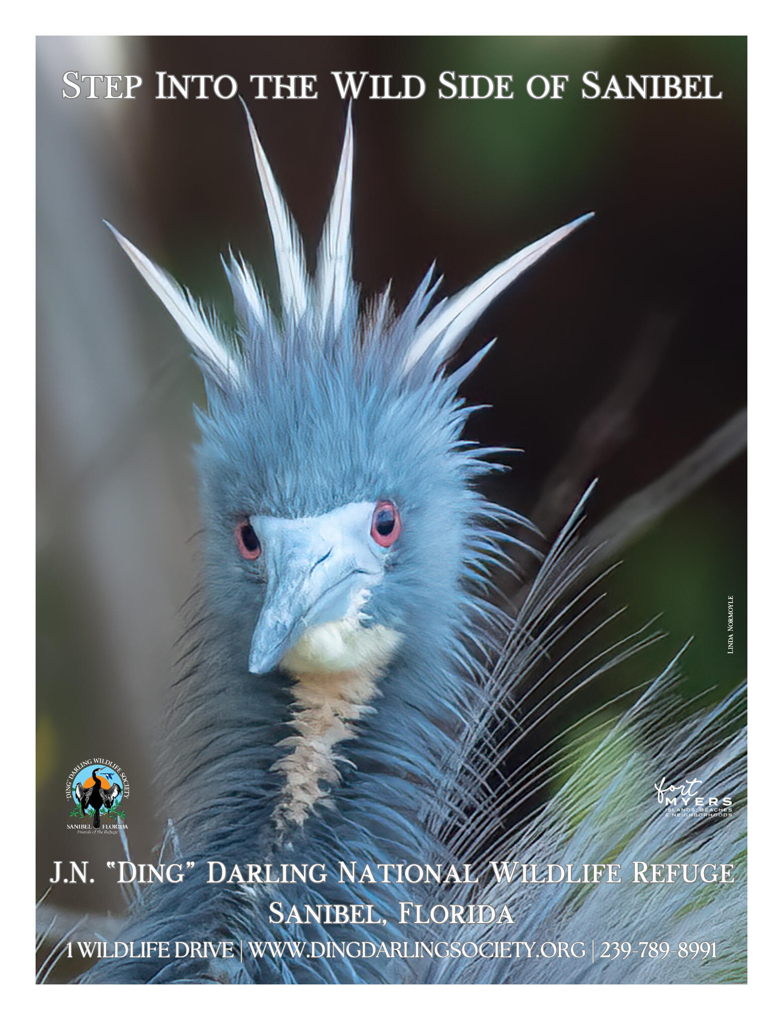 Destination 2026 - page 19