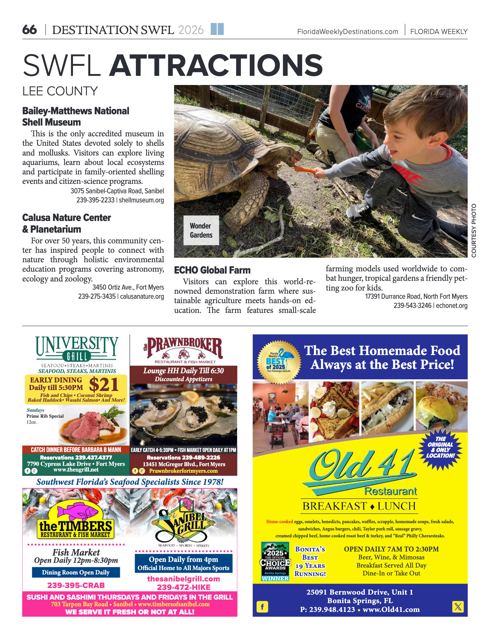 Destination 2026 - page 61